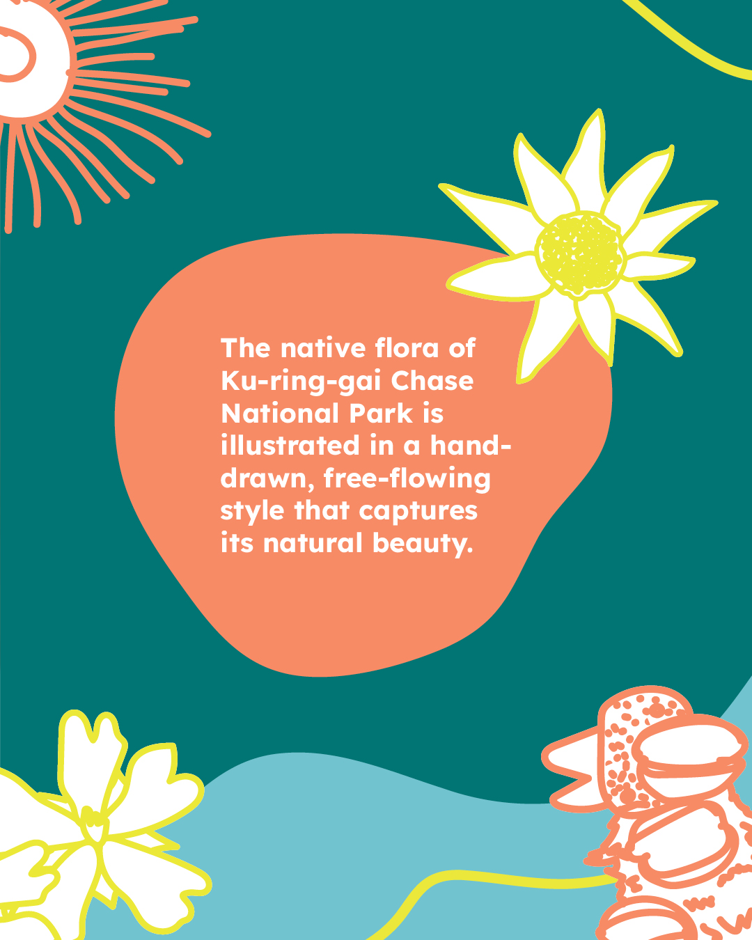 Sydney North Health Network - health network branding - by Design Bug2